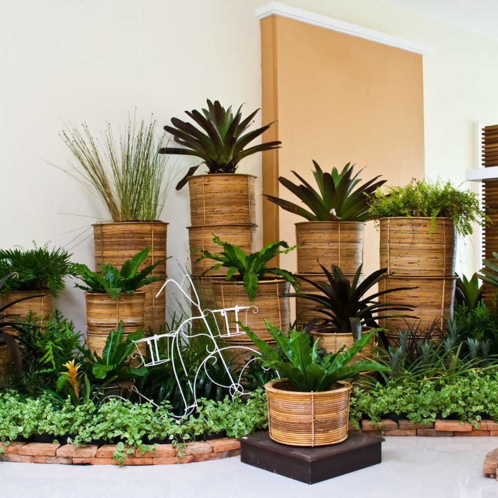 Home Fun's Florist and Nursery